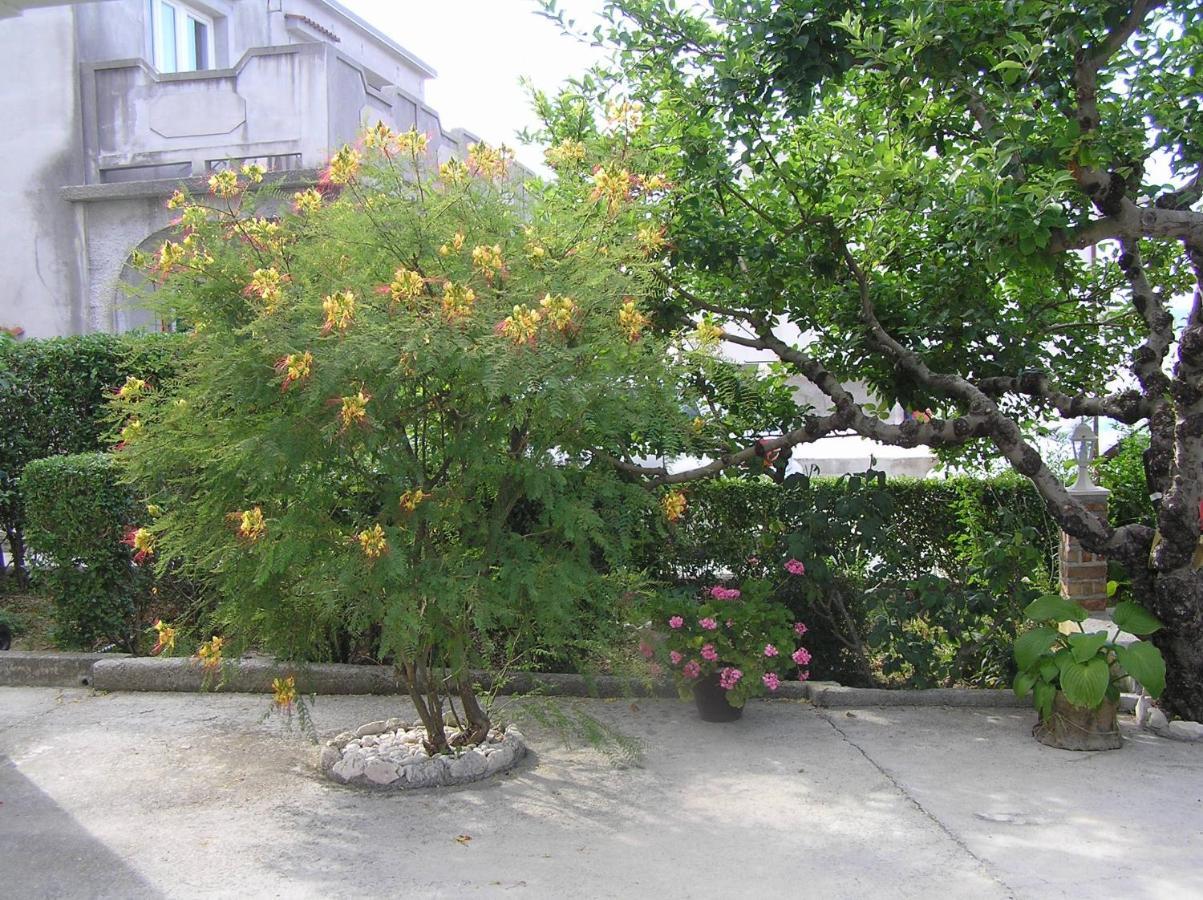 Apartments With A Parking Space Supetarska Draga - Donja, Rab - 15999 외부 사진