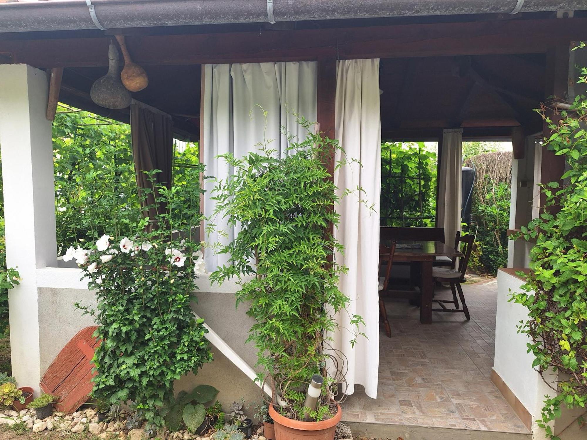 Apartments With A Parking Space Supetarska Draga - Donja, Rab - 15999 외부 사진