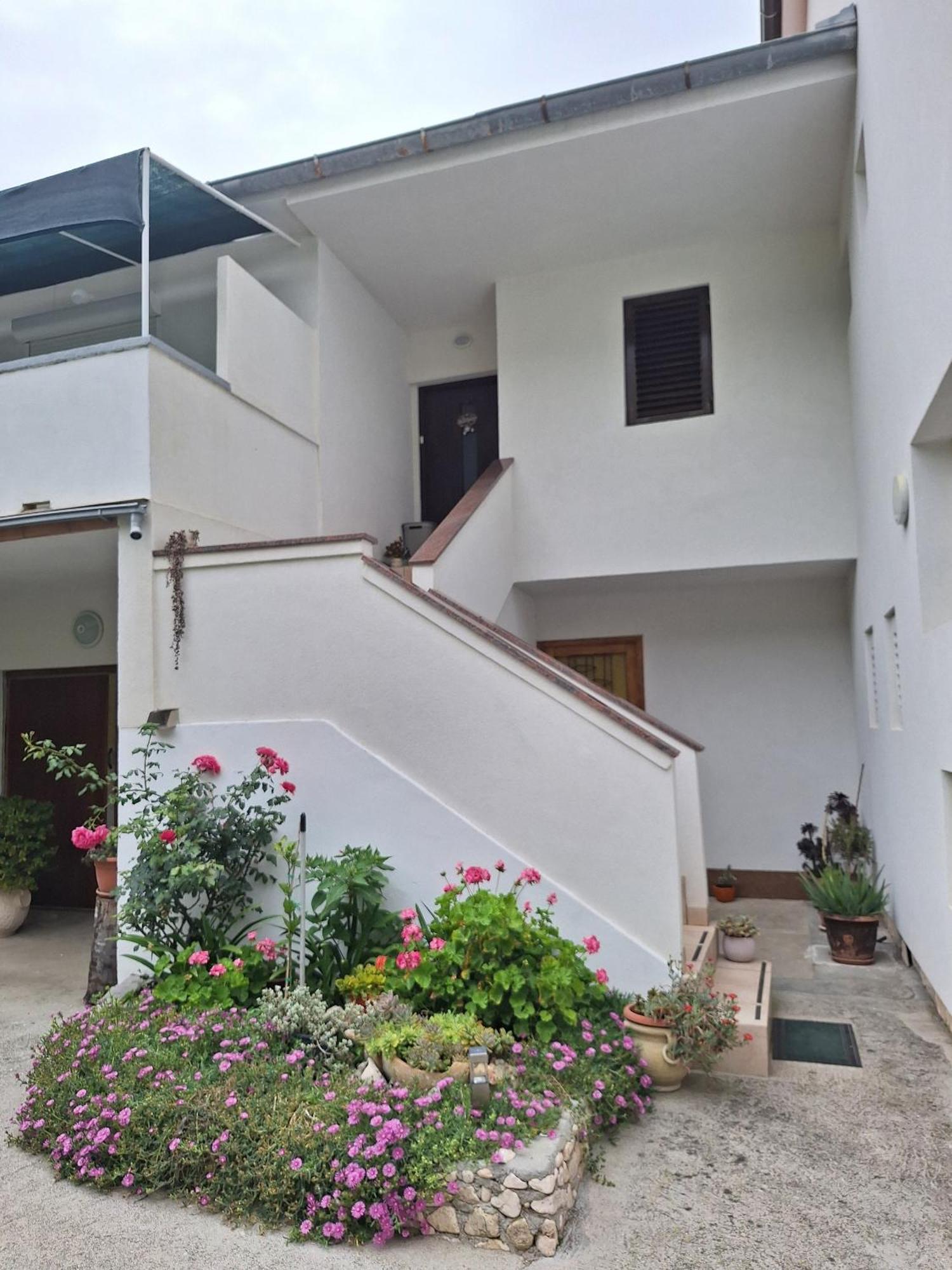 Apartments With A Parking Space Supetarska Draga - Donja, Rab - 15999 외부 사진